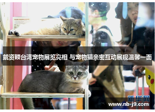 戴资颖台湾宠物展览亮相 与宠物猫亲密互动展现温馨一面 戴资颖台湾宠物展览亮相 与宠物猫亲密互动展现温馨一面