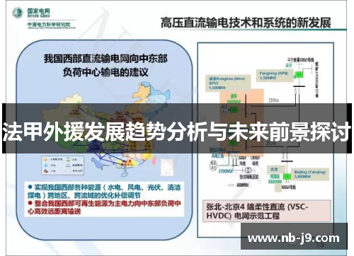 法甲外援发展趋势分析与未来前景探讨