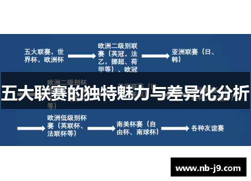 五大联赛的独特魅力与差异化分析