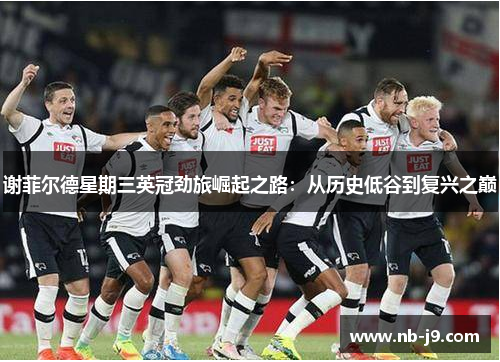 谢菲尔德星期三英冠劲旅崛起之路：从历史低谷到复兴之巅