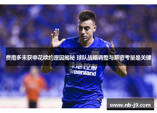 费南多未获申花续约原因揭秘 球队战略调整与薪资考量是关键