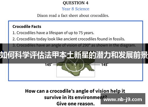 如何科学评估法甲本土新星的潜力和发展前景