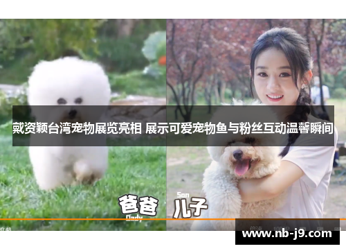 戴资颖台湾宠物展览亮相 展示可爱宠物鱼与粉丝互动温馨瞬间 戴资颖台湾宠物展览亮相 展示可爱宠物鱼与粉丝互动温馨瞬间