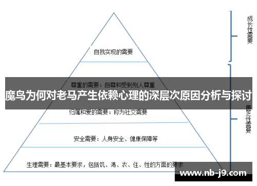 魔鸟为何对老马产生依赖心理的深层次原因分析与探讨 魔鸟为何对老马产生依赖心理的深层次原因分析与探讨