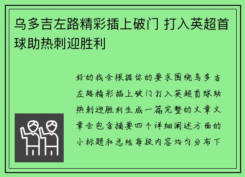 乌多吉左路精彩插上破门 打入英超首球助热刺迎胜利